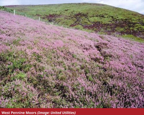 Work to restore peatlands on the West Pennine Moors and beyond